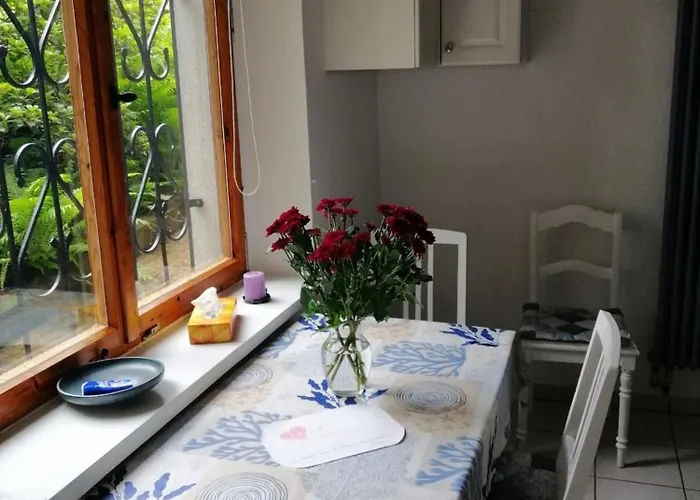 Hasenecke Tatil Evi *